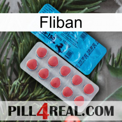 Fliban new14